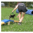 Boja začíná s agility