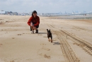 Brok s paničkou na belgické pláži